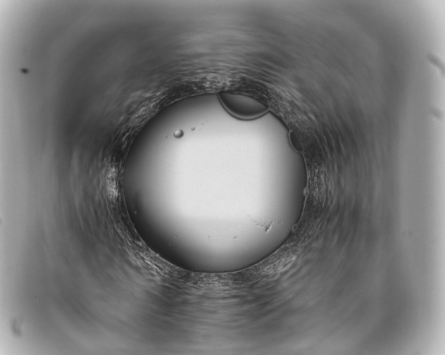 X0000093370962200710251150