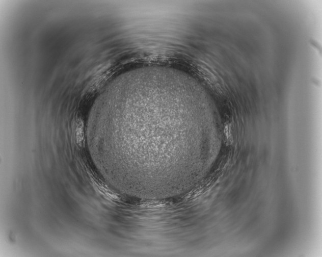 X0000093370963200710251150