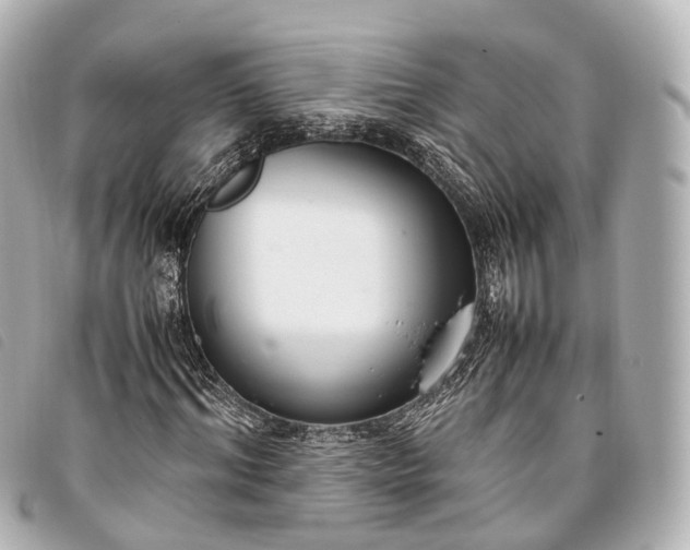 X0000093370964200710251150