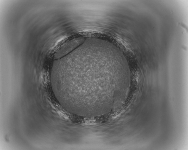 X0000093370965200710251150