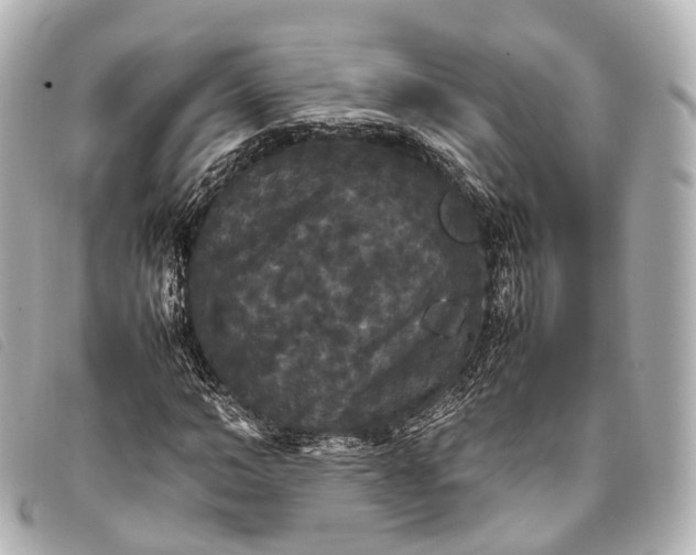 X0000093370966200710251150