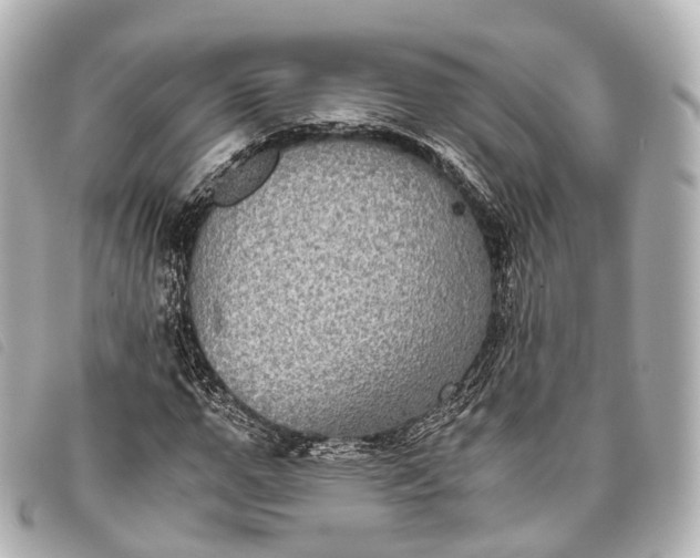 X0000093370967200710251150