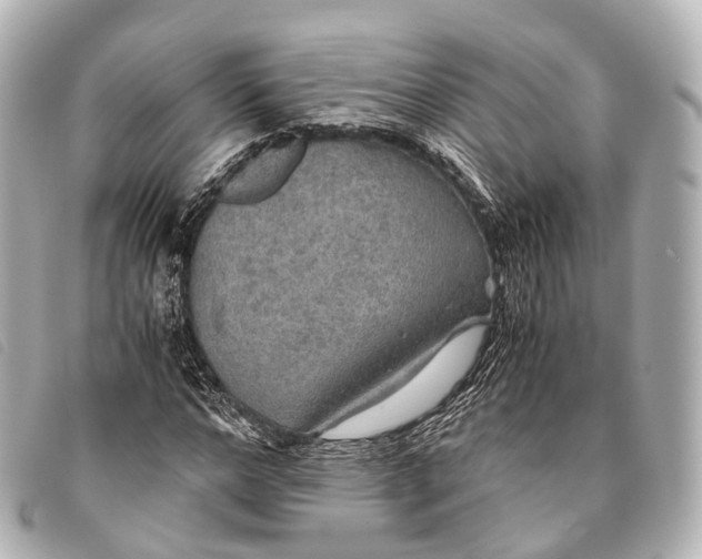 X0000093370968200710251150