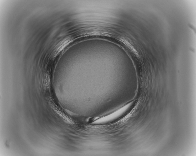 X0000093370969200710251150