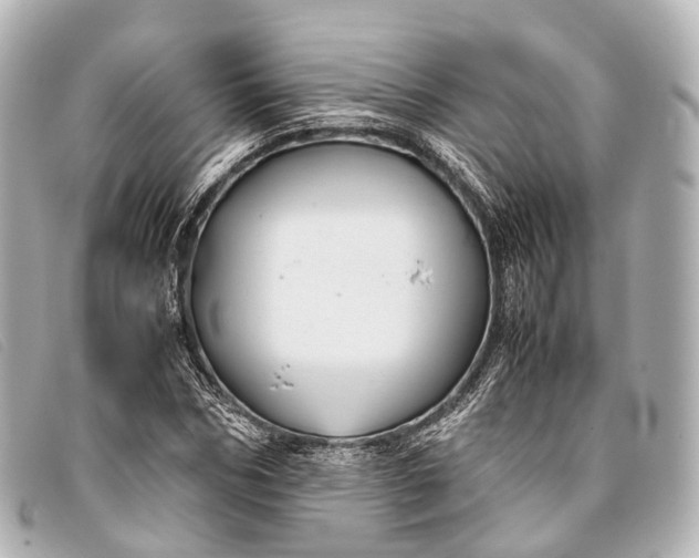 X0000093370970200710251150