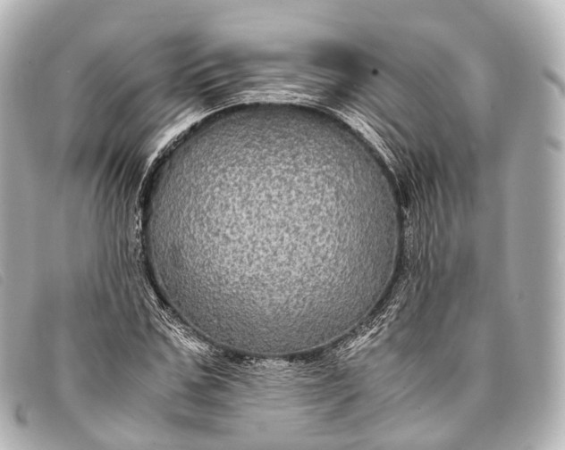 X0000093370971200710251150