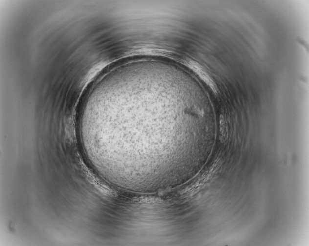 X0000093370972200710251150