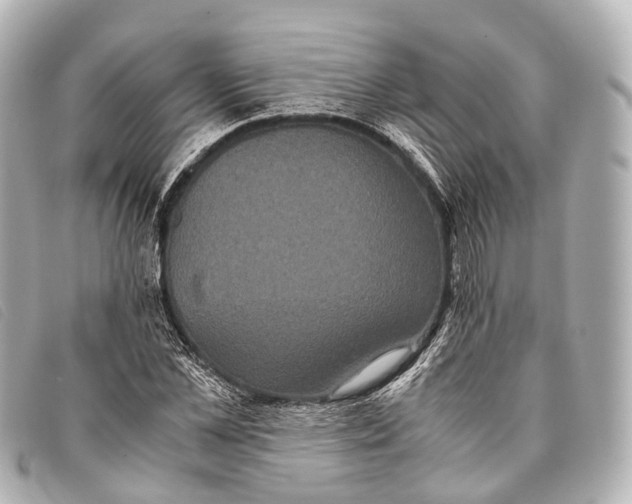 X0000093370973200710251150