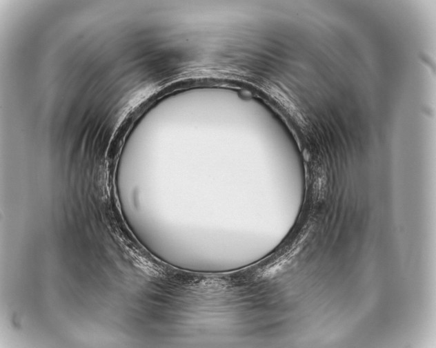 X0000093370974200710251150