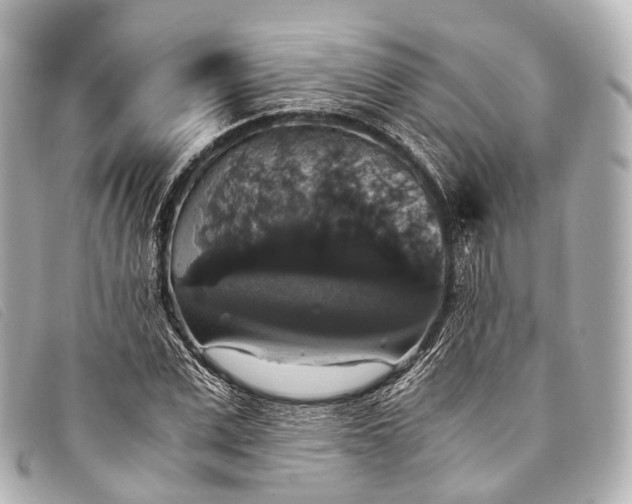 X0000093370975200710251150