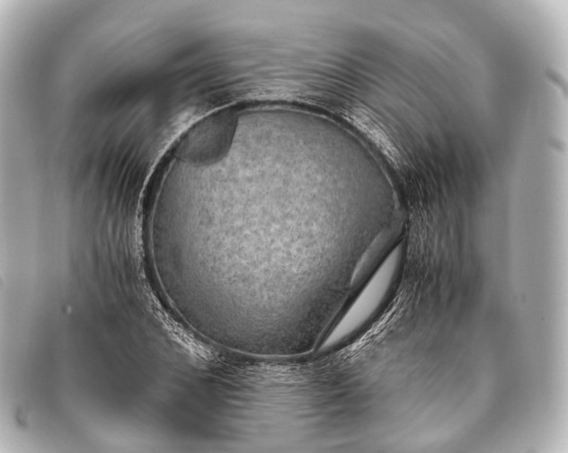 X0000093370976200710251150