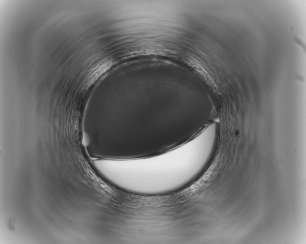 X0000093370977200710251150