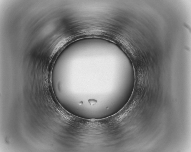 X0000093370978200710251150