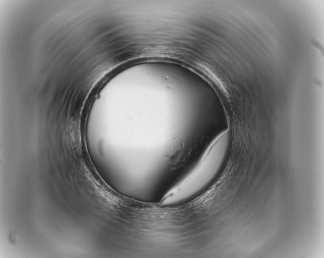 X0000093370980200710251150