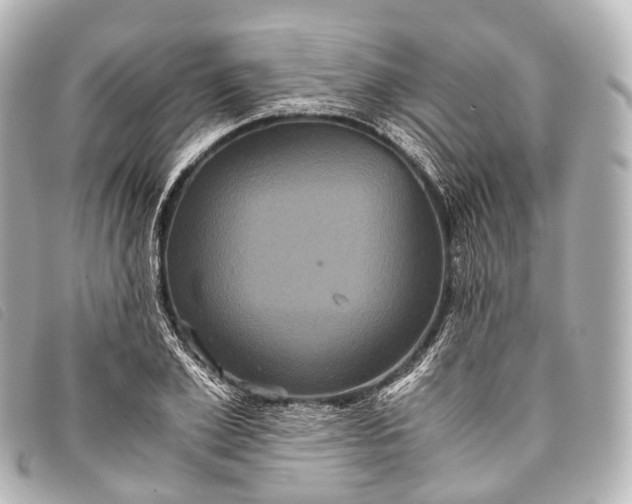 X0000093370981200710251150