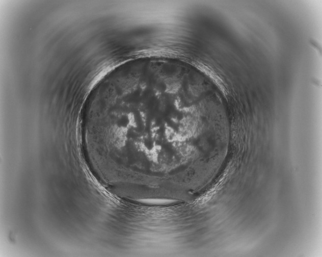 X0000093370983200710251149