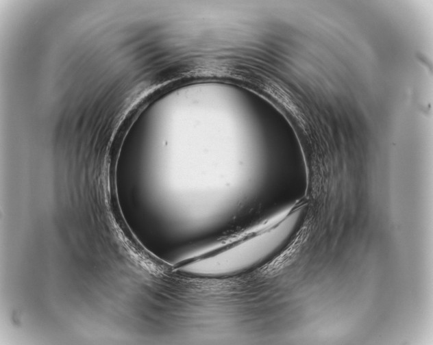 X0000093370984200710251149