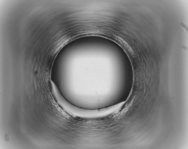 X0000093370985200710251149