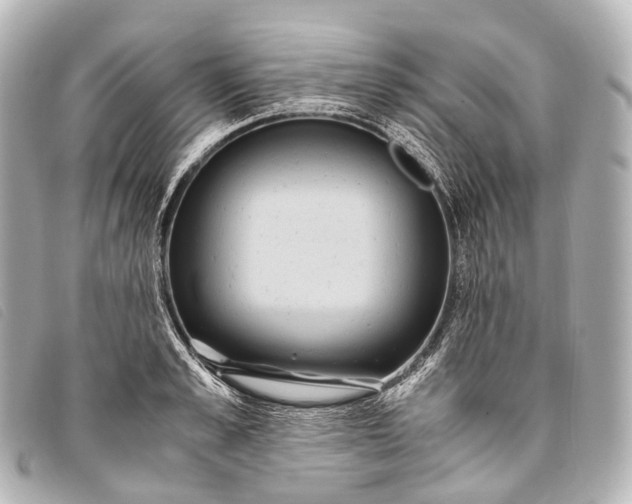 X0000093370989200710251149