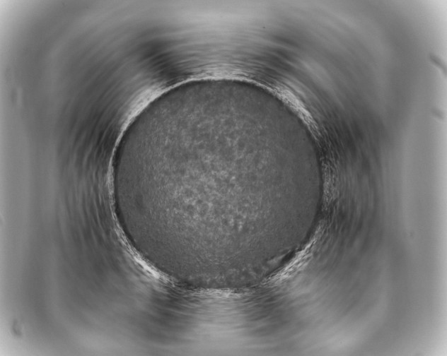 X0000093370990200710251149