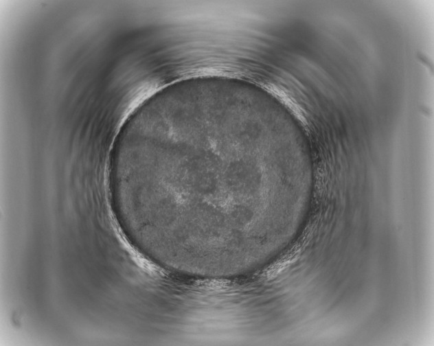 X0000093370991200710251149