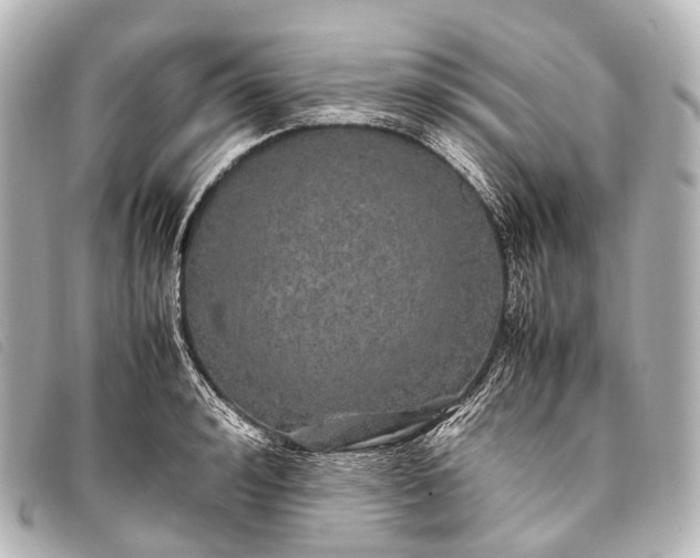 X0000093370992200710251149