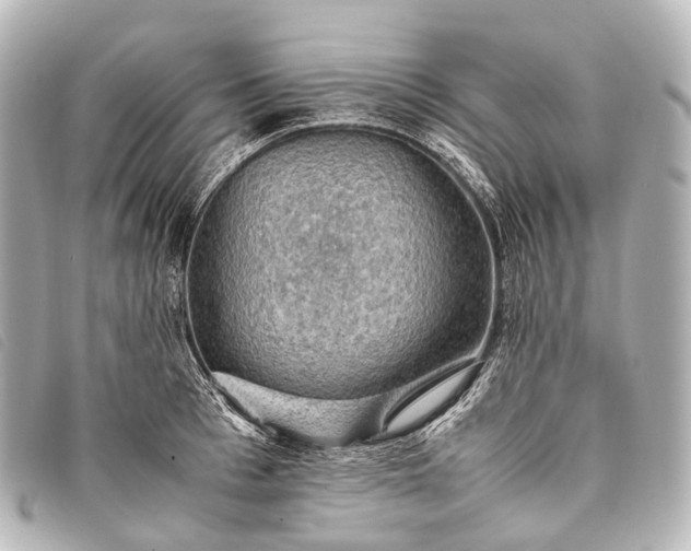 X0000093370993200710251149