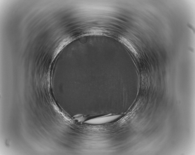 X0000093370994200710251149