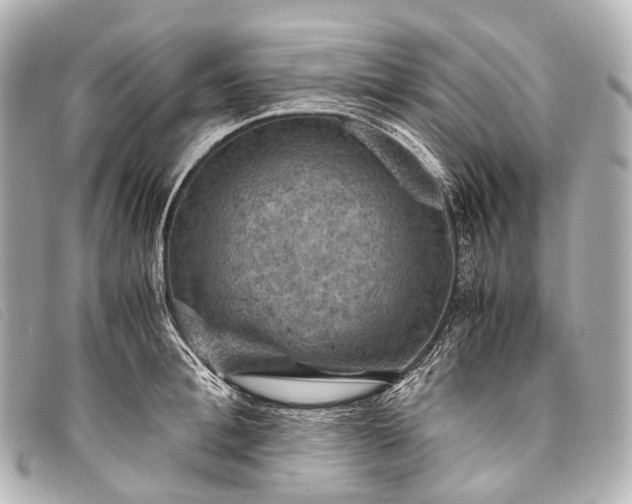 X0000093370996200710251149