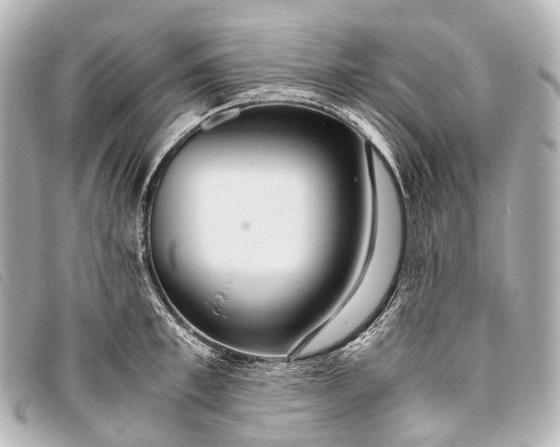 X0000093370997200710251149