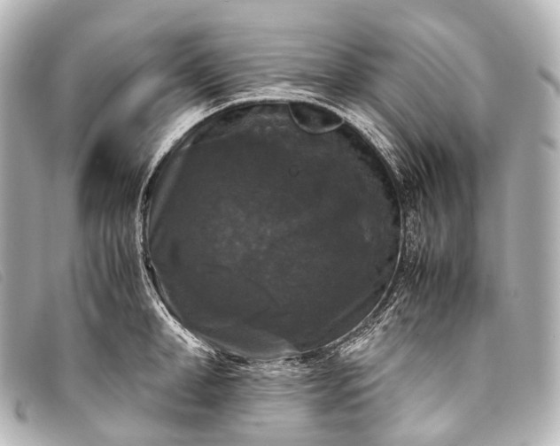 X0000093370998200710251149