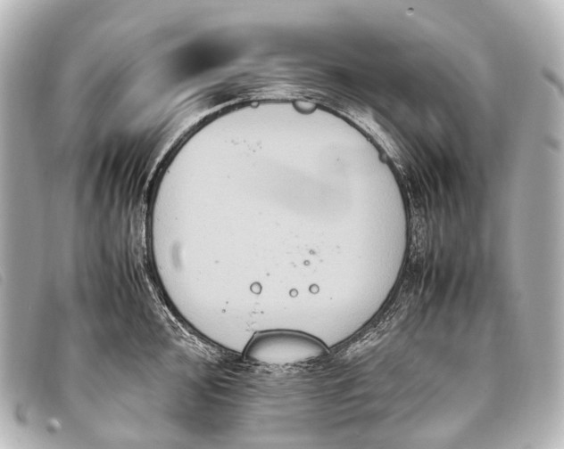 X0000093371000200710251149