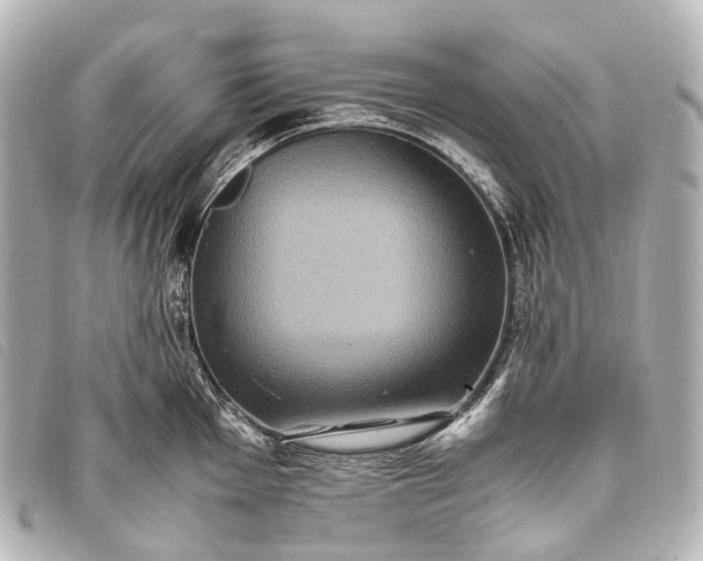 X0000093371001200710251149