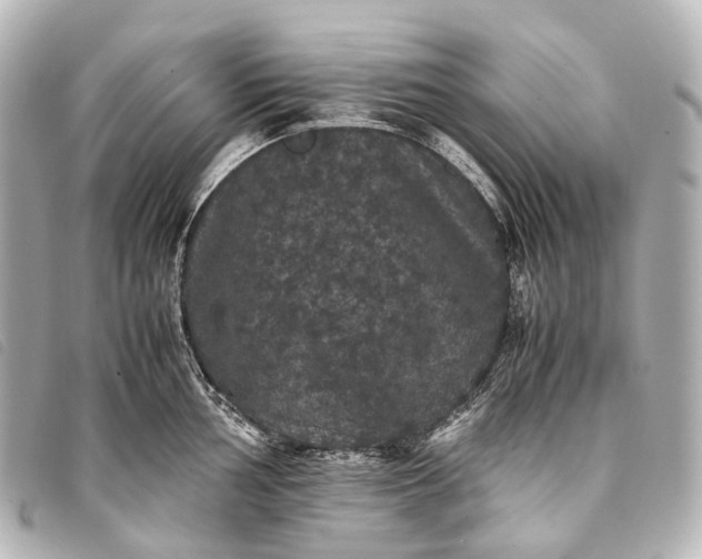 X0000093371002200710251149