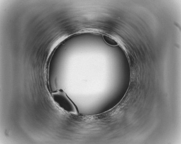 X0000093371003200710251149