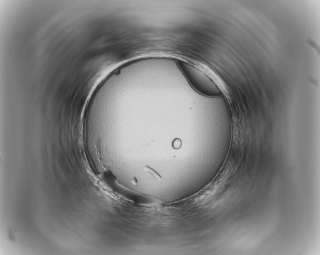 X0000093371004200710251149