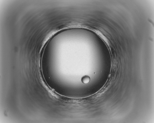 X0000093371005200710251149