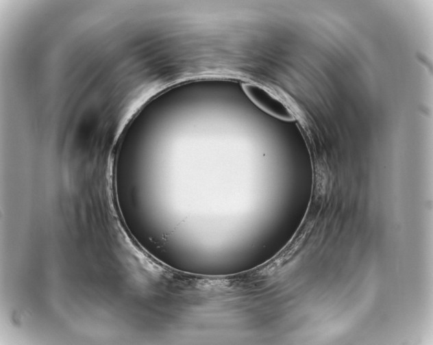 X0000093371006200710251149