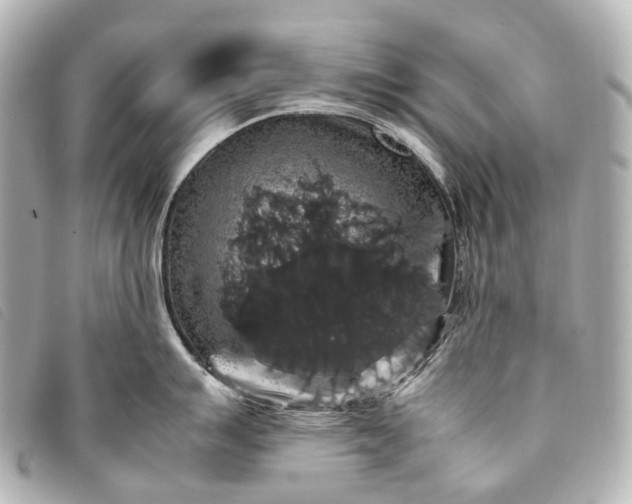 X0000093371007200710251149