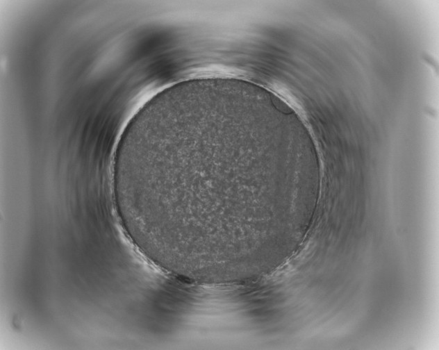 X0000093371008200710251149