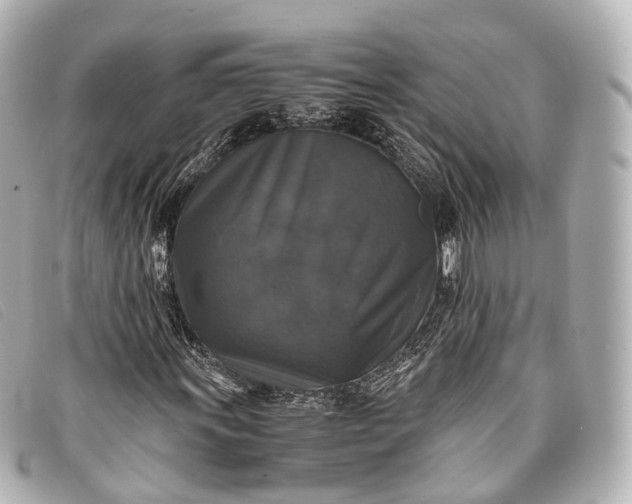 X0000093371011200710251149