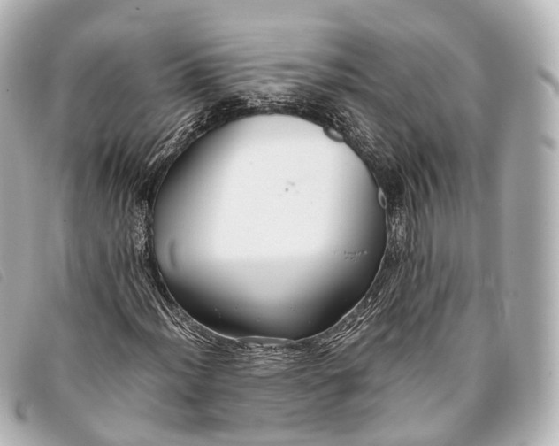 X0000093371012200710251149