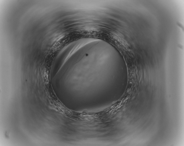 X0000093371013200710251149