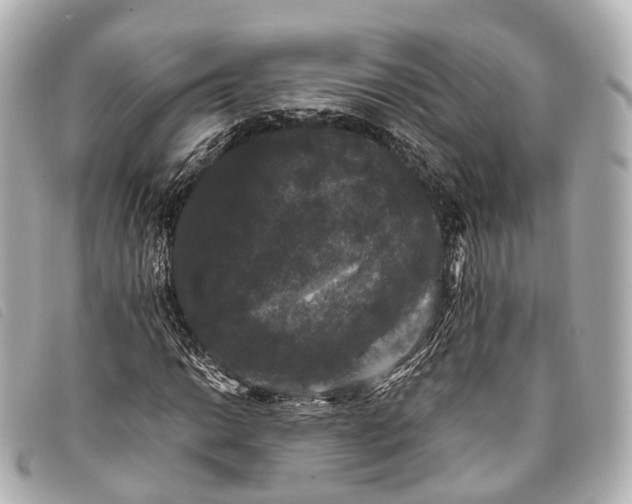 X0000093371014200710251149