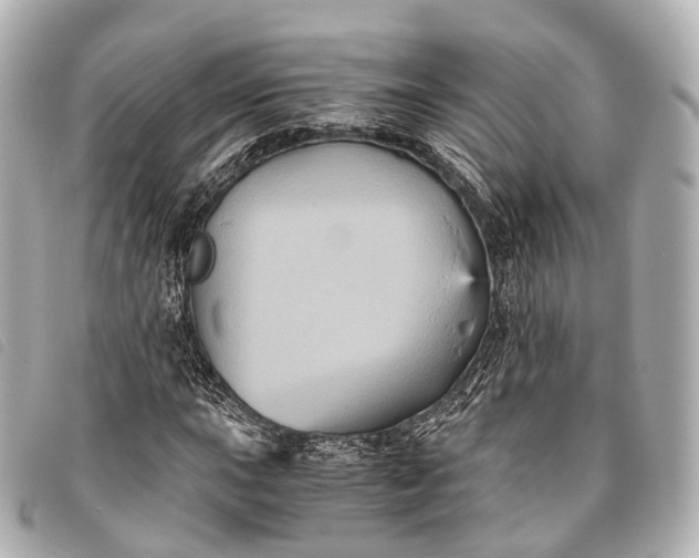 X0000093371015200710251149