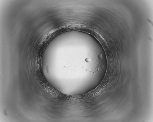 X0000093371016200710251149