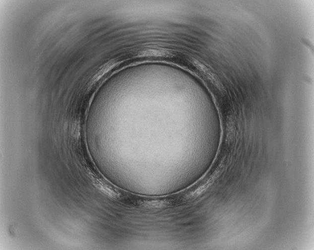 X0000093371017200710251149