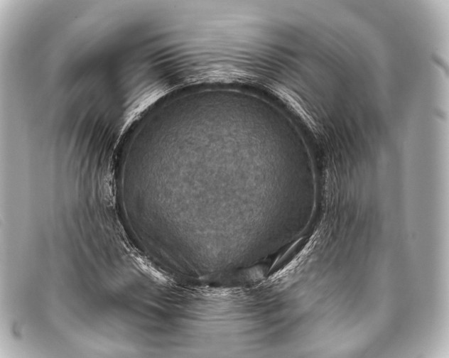 X0000093371018200710251149