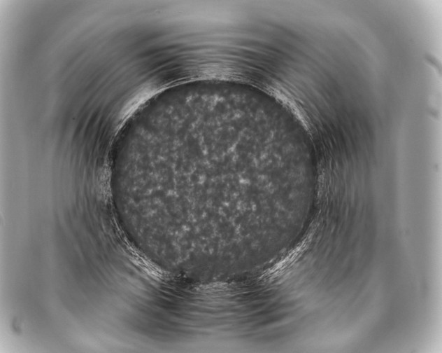 X0000093371019200710251149