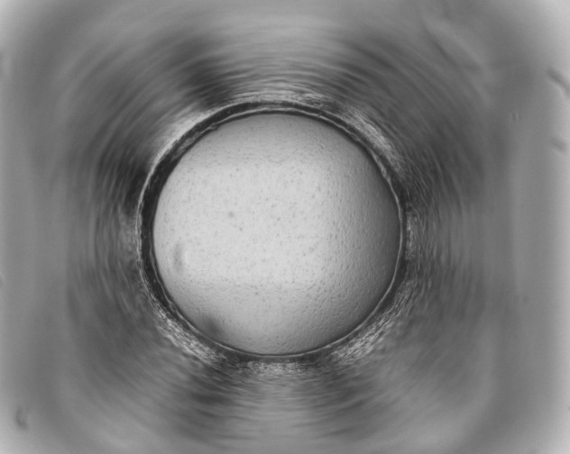 X0000093371020200710251149